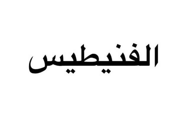 ارض للبيع في ضاحية الفنيطيس