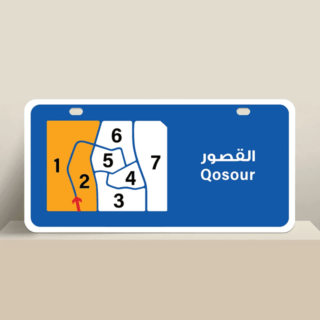 للبيع بيت حكومة فى القصور