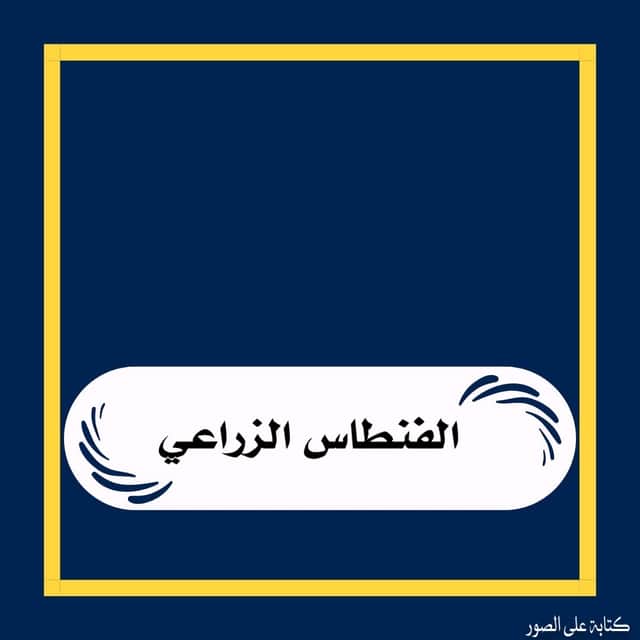 للبيع أرض فى الفنطاس الزراعي قطعة 4