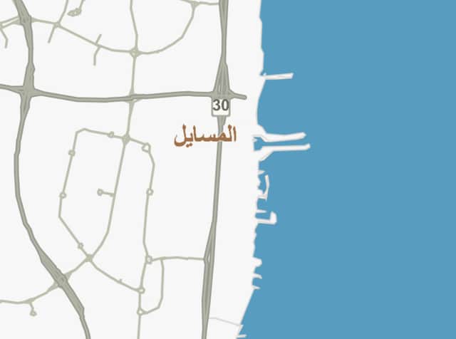 للبيع فيلا مدخول فى منطقة المسايل