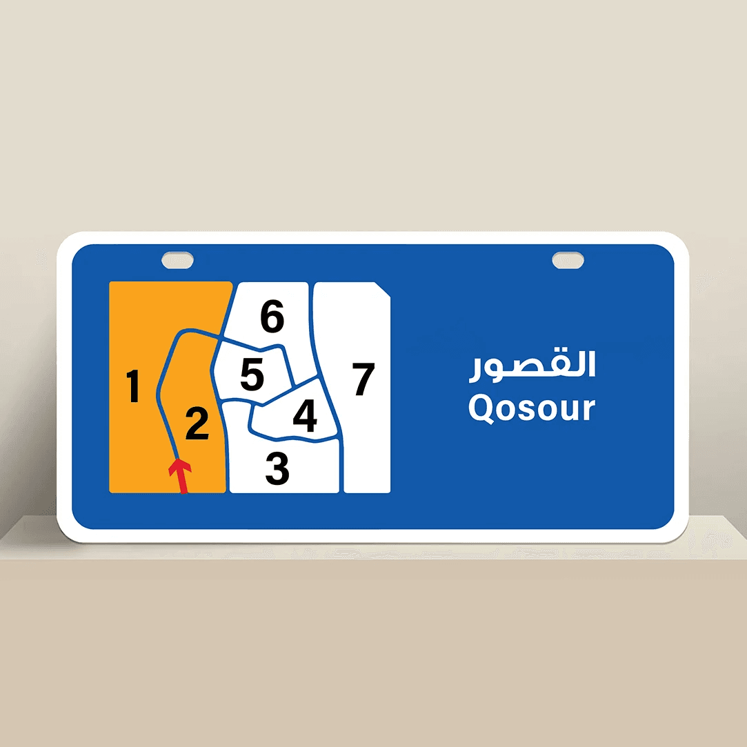 للبيع بيت حكومة فى القصور