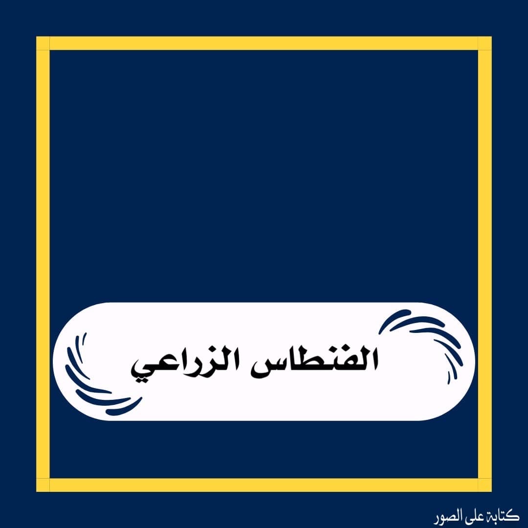 للبيع أرض فى الفنطاس الزراعي قطعة 4