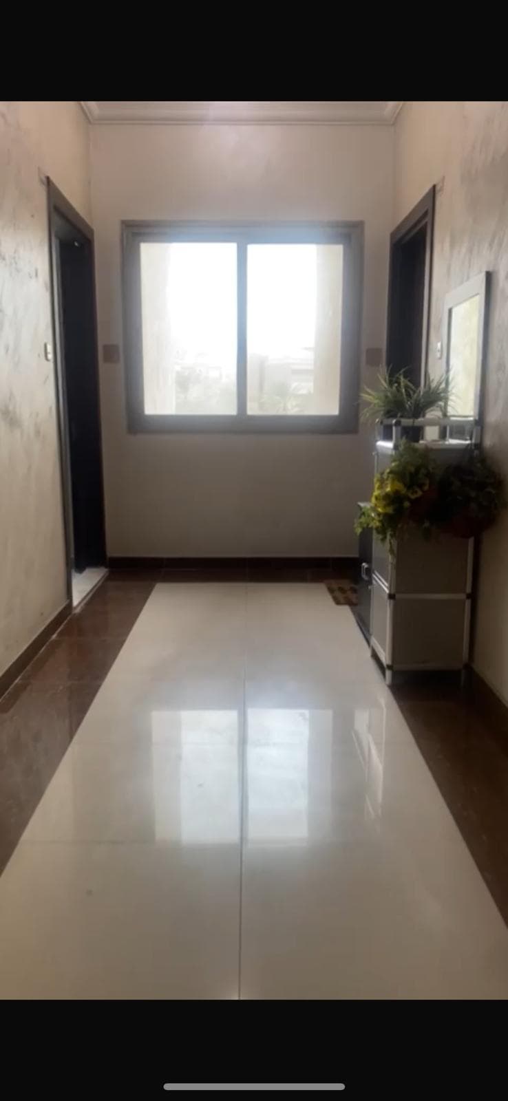 للايجار شقة تجاري فى حولي