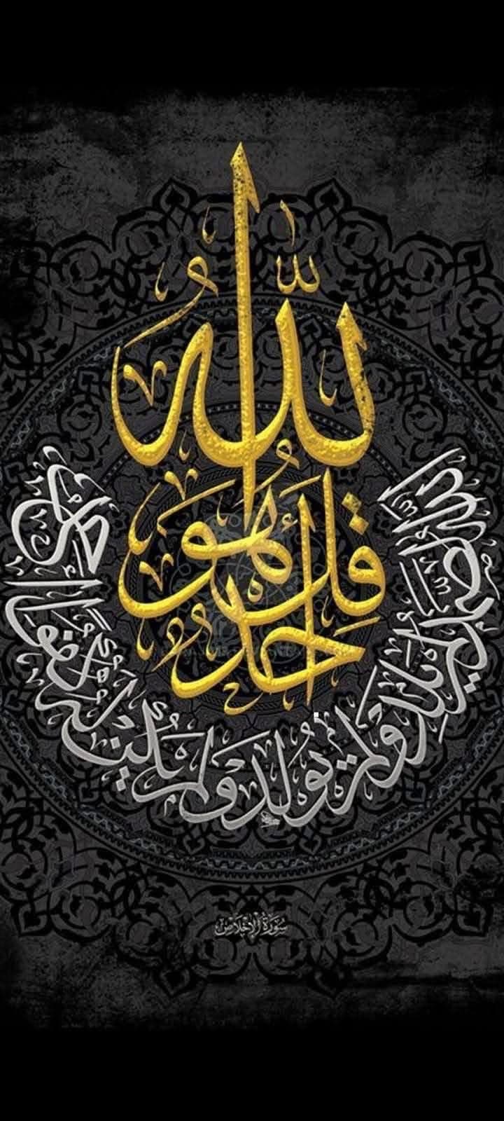 مطلوب ولدينا شقق بالمطلاع للإيجار