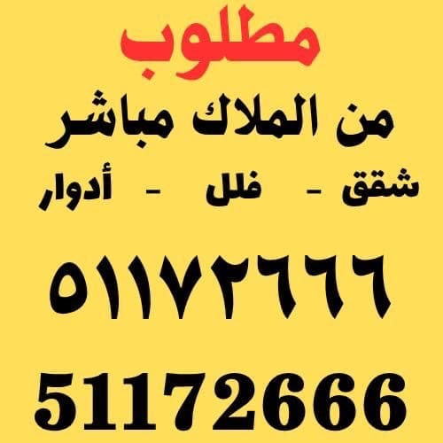شقة للإيجار فى الصديق