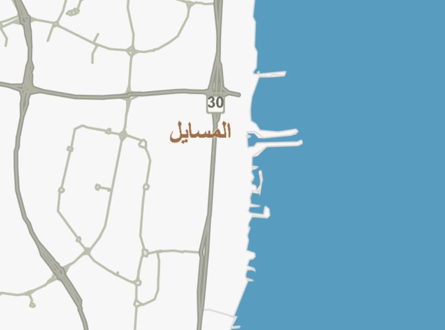 للبيع فيلا مدخول فى منطقة المسايل