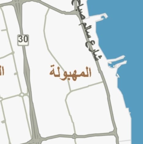 للبيع عماره فى المهبوله مؤجرة