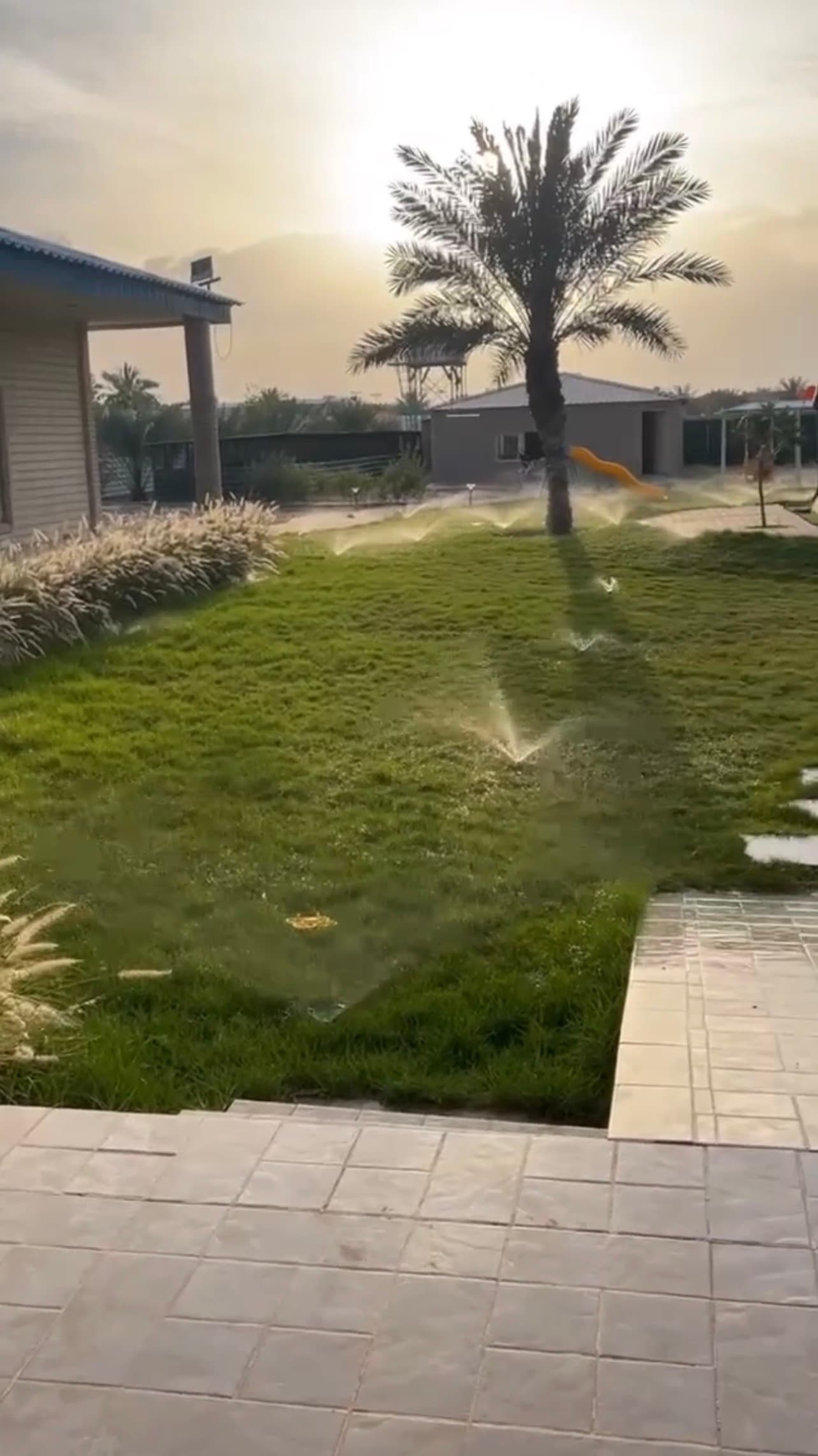 مزرعة للبيع فى الوفرة