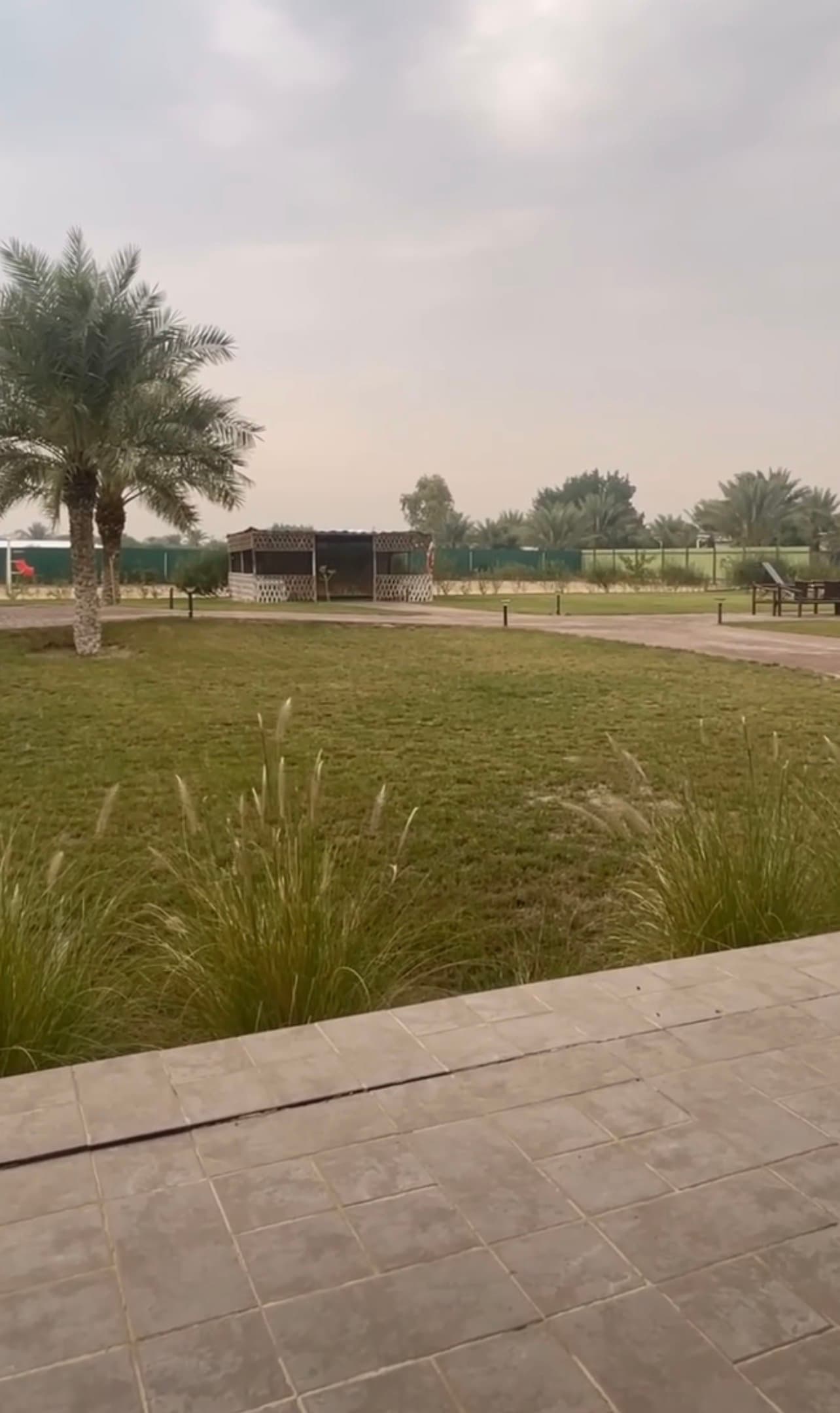 مزرعة للبيع فى الوفرة