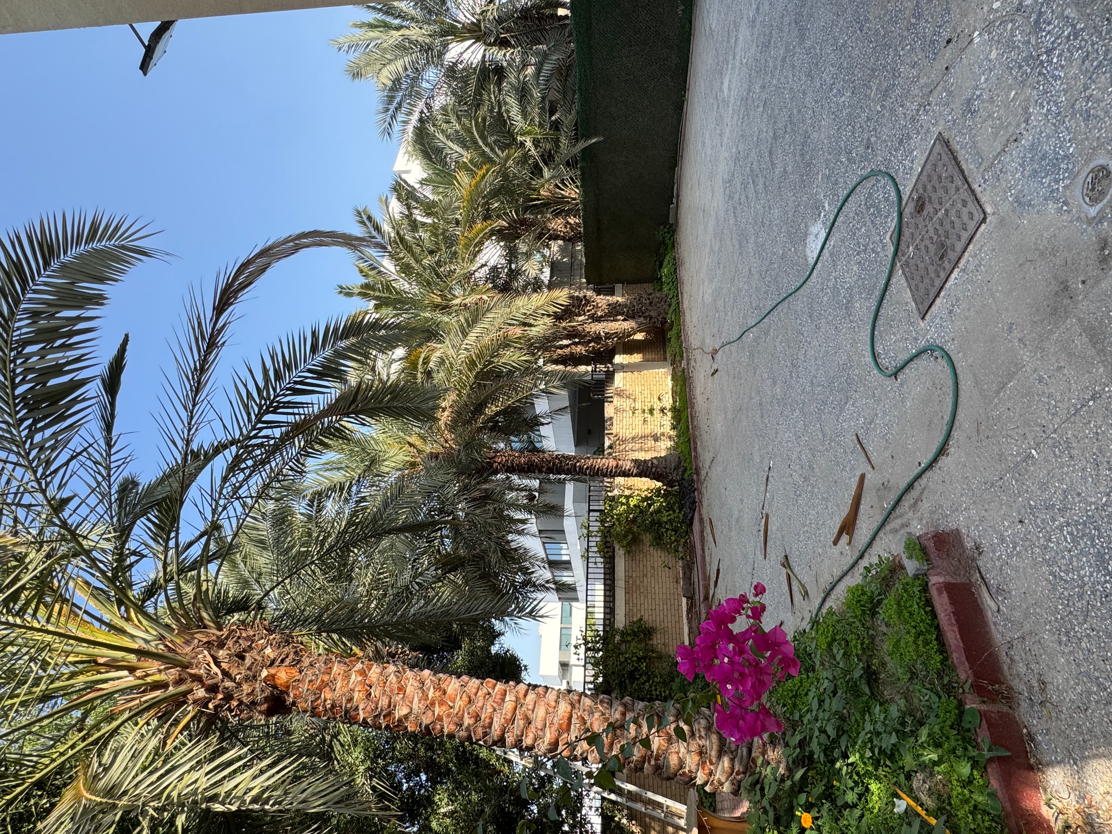 فيلا للإيجار فى المسيله دورين