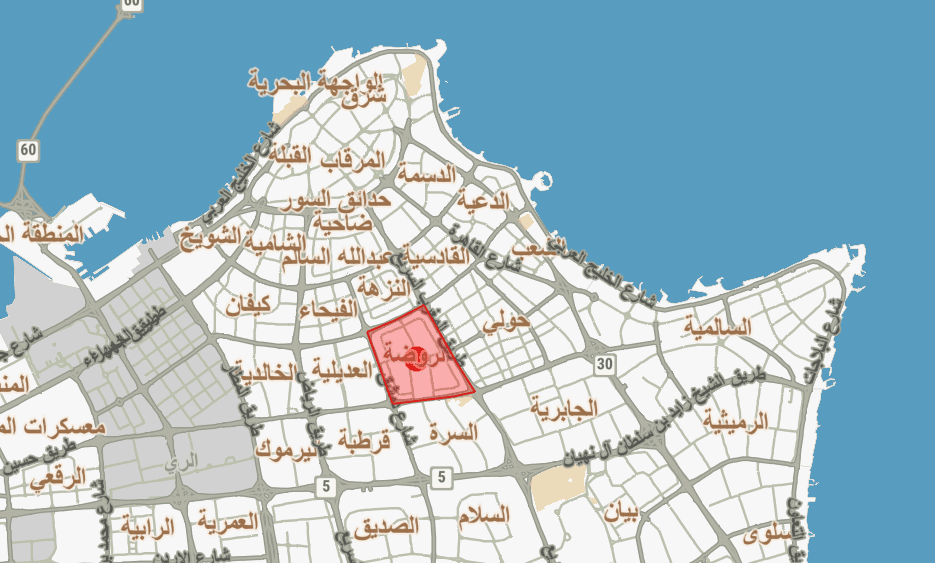 للإيجار دور أول فى الروضة