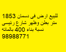 أرض للبيع فى دسمان بطن وظهر - صورة 2