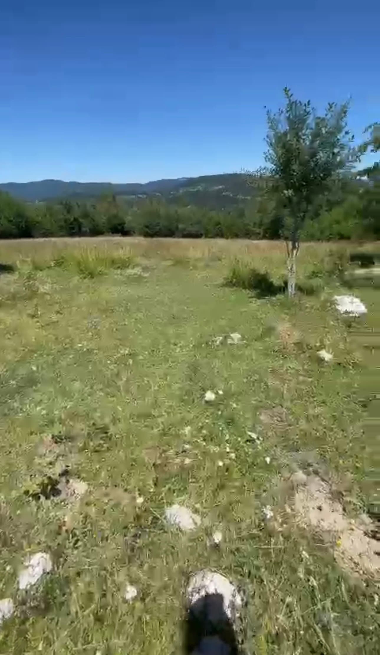 أرض للبيع فى الرميثيه منطقة اوليفو أرض للبيع فى الرميثيه منطقة اوليفو